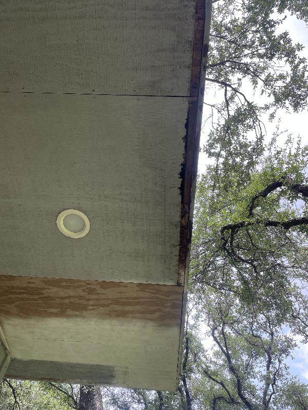 Some water damage in this eave 
