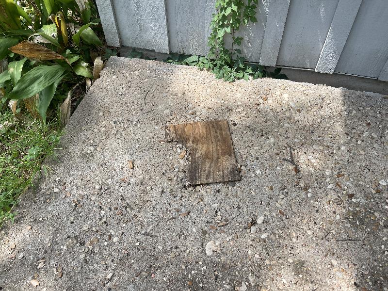 Plywood that has fallen off 
